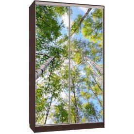 Шкаф-купе Рио 7-600 57