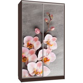 Шкаф-купе Рио 7-600 78