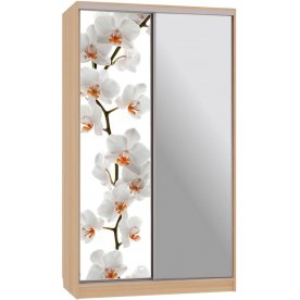 Шкаф-купе Рио 9-600 83