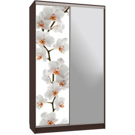 Шкаф-купе Рио 9-600 83