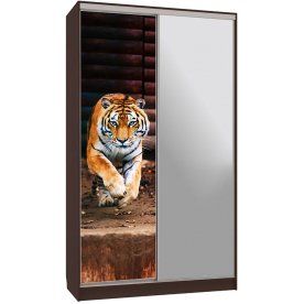 Шкаф-купе Рио 9-600 87