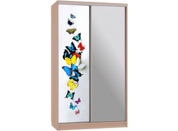 Шкаф-купе Рио 9-600 88