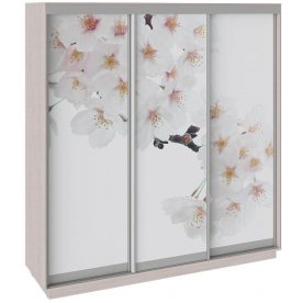 Шкаф-купе Румер 210х60х220