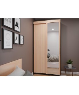 Шкаф-купе ШР-124.2