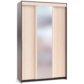 Шкаф-купе ШР-156.2