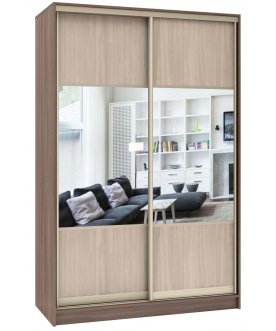 Шкаф-купе Стандарт Комбо 2.1 ШК.004.1600-19