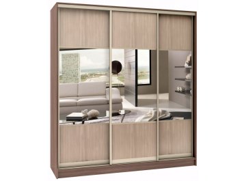 Шкаф-купе Стандарт Комбо 3.1 ШК.008.1600-19