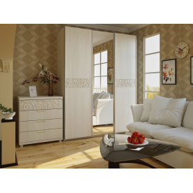 Шкаф-купе Ирис 16