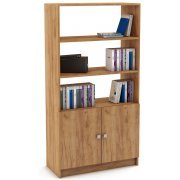 дуб золотистый