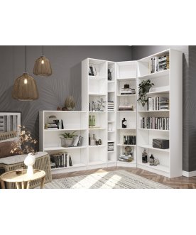 Стеллаж Вилли СМ-800