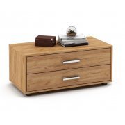 дуб золотистый