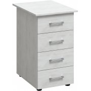 северное дерево светлое