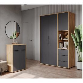 Модульная прихожая Оптима ОП-109