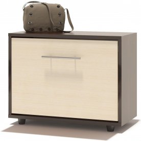 Модульная прихожая ВШ-5.1 + ТП-1 + ТП-4 + ПЗ-4