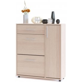 Модульная прихожая ВШ-5.1 + ТП-5 + ТП-4 + ПЗ-4 (комплектация 4)