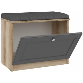 Обувница Агра 01