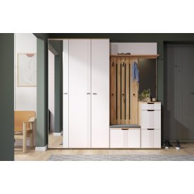 Обувница Эмилия ЭЛ-4К