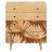 palm / робиния брэнсон