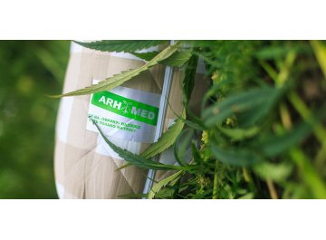 Матрас Amnesia XL