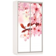 сакура / белый снег