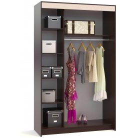 Шкаф-купе ШР-156.2