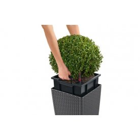 Кашпо Lechuza 15372 CUBE Cottage 30 Гранит