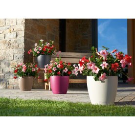 Кашпо Lechuza 13190 CLASSICO Color 28