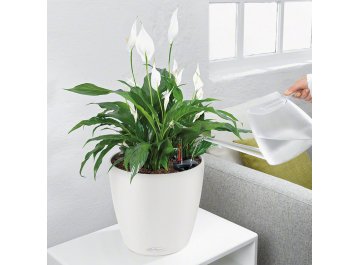 Кашпо Lechuza 13223 CLASSICO Color 35