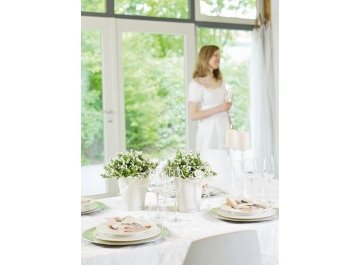 Кашпо Lechuza 14950 MINI-DELTINI