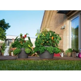 Кашпо Lechuza 14984 CASCADA Color