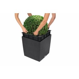 Кашпо Lechuza 15390 CUBE Cottage 50