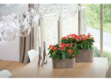 Кашпо Lechuza 15466 DELTA 10