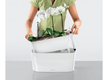 Кашпо Lechuza 15563 DELTA 20