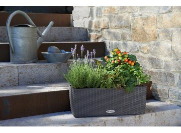 Кашпо Lechuza 15602 BALCONERA Cottage 50