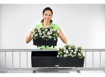 Кашпо Lechuza 15612 BALCONERA Cottage 80