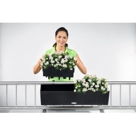 Кашпо Lechuza 15615 BALCONERA Cottage 80