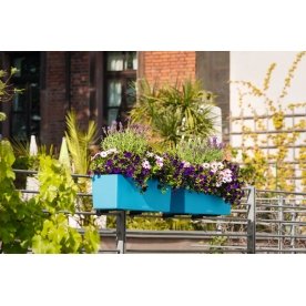 Кашпо Lechuza 15674 BALCONERA Color 50