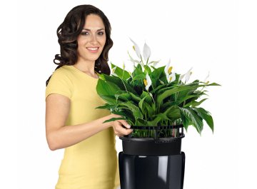 Кашпо Lechuza 15789 RONDO 32