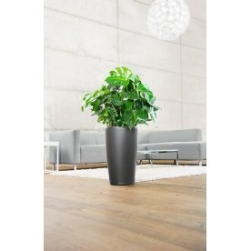 Кашпо Lechuza 15797 RONDO 32