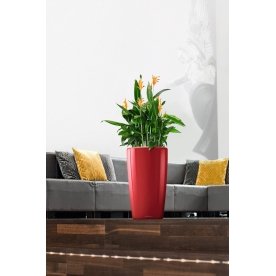 Кашпо Lechuza 15799 RONDO 32