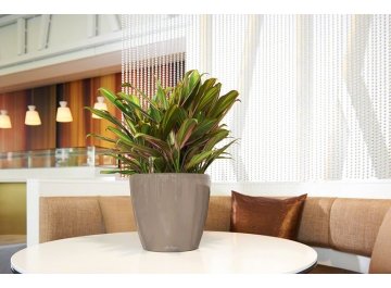 Кашпо Lechuza 16100 CLASSICO LS 50