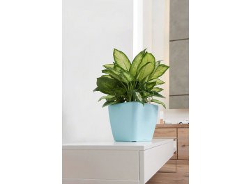 Кашпо Lechuza 16123 QUADRO LS 21