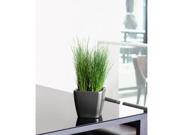 Кашпо Lechuza 16125 QUADRO LS 21