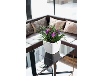 Кашпо Lechuza 16140 QUADRO LS 28