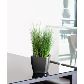 Кашпо Lechuza 16163 QUADRO LS 35