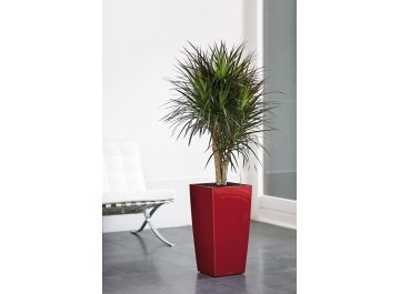 Кашпо Lechuza 18184 CUBICO 30