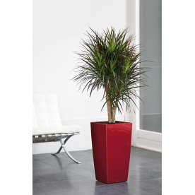 Кашпо Lechuza 18214 CUBICO 30