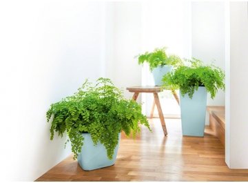 Кашпо Lechuza 18460 CUBICO 22