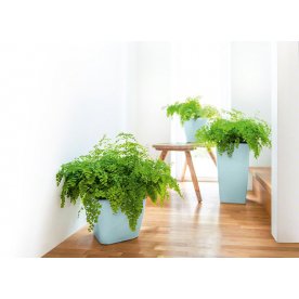 Кашпо Lechuza 18469 CUBICO 22