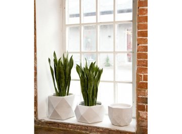 Кашпо Геометри Круглое D23 H17 DROUND23-AW